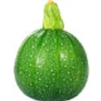 Deutschland Kürbis Rondini – Produktbild 1 von 1