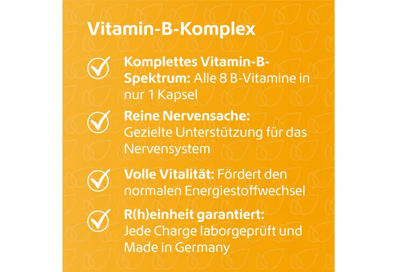 R(h)ein Nutrition R(h)ein Nutrition Vitamin B-Komplex Kapseln, 120 St., 38.6 g – Produktbild 3 von 5