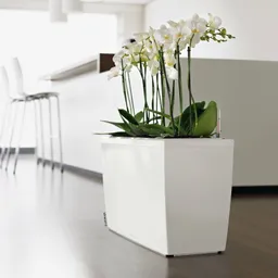Lechuza® Lechuza® 'Cararo', weiß, ca. 75 x 30 x H 42,5 cm – Produktbild 1 von 1