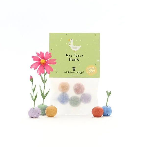 Die Stadtgärtner Die Stadtgärtner 5 bunte Blumenmurmeln im Tütchen mit Wildblumensaatgut | Als Gastgeschenk, Dankeschön & kleine Aufmerksamkeit – Produktbild 1 von 4