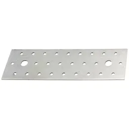Alberts ALBERTS Lochplatte, sendzimirverzinkt, LxB 200x60 mm, PRO – Produktbild 1 von 1