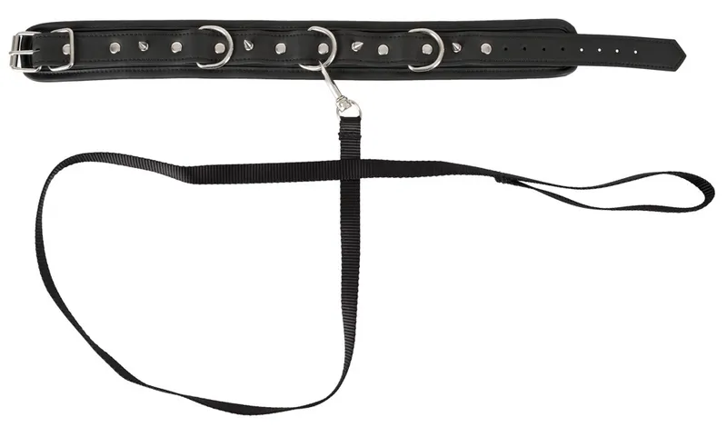 Vegan Fetish Halsfessel plus abnehmbare Leine, Schwarz, – Produktbild 3 von 5