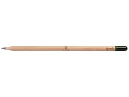 Sprout Sprout Bleistift mit Samenkapsel Nelke – Produktbild 1 von 1