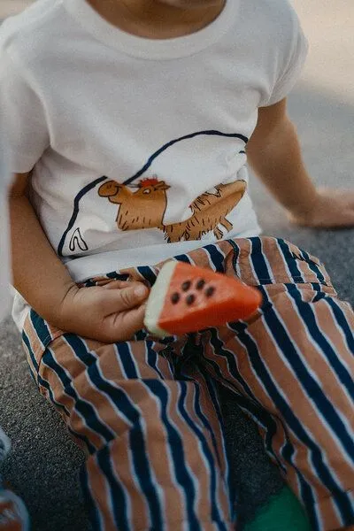 NAADA NAADA T-shirt Camel Love Tangier – Produktbild 4 von 4