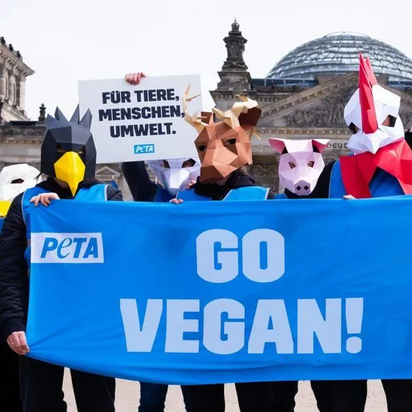 social product social product Bio-Tofu geräuchert x PETA – Produktbild 3 von 3