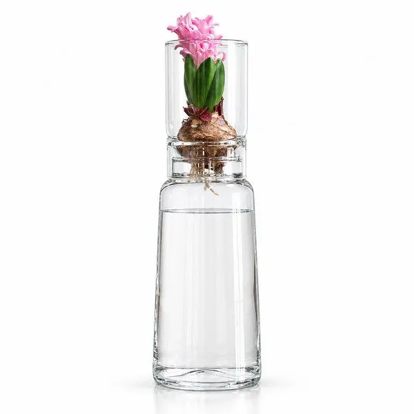 Happy Soul Happy Soul Keimglas ø 9 cm – Produktbild 3 von 5