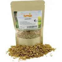 Getzoo Getzoo Gammarus 25g – Produktbild 1 von 1