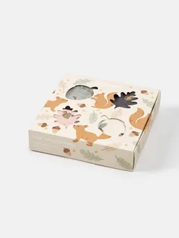 Thought Sockenbox Modell: Woodland Squirrel – Produktbild 1 von 1
