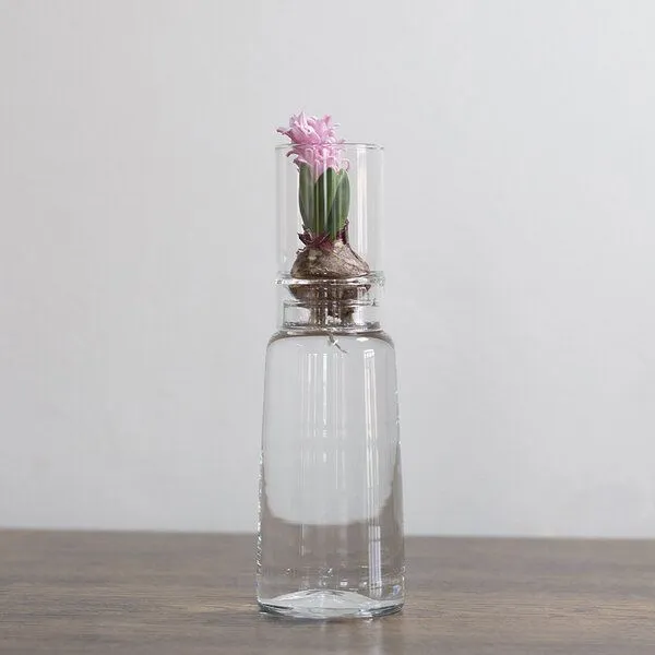 Happy Soul Happy Soul Keimglas ø 9 cm – Produktbild 1 von 5