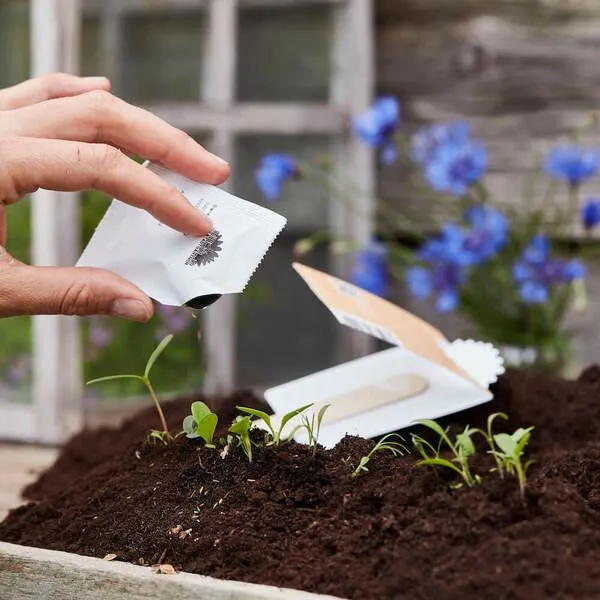 Die Stadtgärtner Die Stadtgärtner Wildblumen-Samen "Gummistiefel sind meine Pumps" – Produktbild 3 von 3