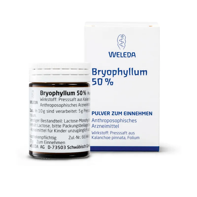 Weleda Bryophyllum 50% Pulver zum Einnehmen – Produktbild 3 von 4