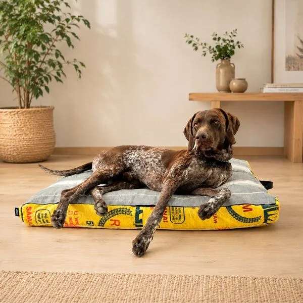 GOOPSI GOOPSI Hundebett mit BIO-Dinkelfüllung, Gelb, – Produktbild 5 von 6