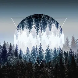 Photocircle Photocircle Poster / Leinwandbild - Woods 4 – Produktbild 1 von 1