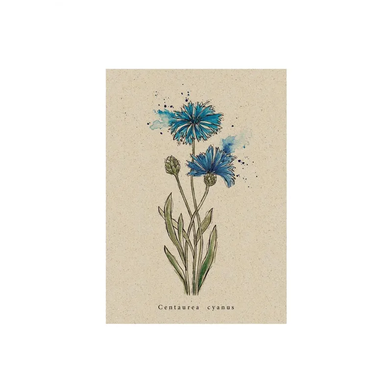 matabooks® Postkarte Kornblume – Produktbild 1 von 2