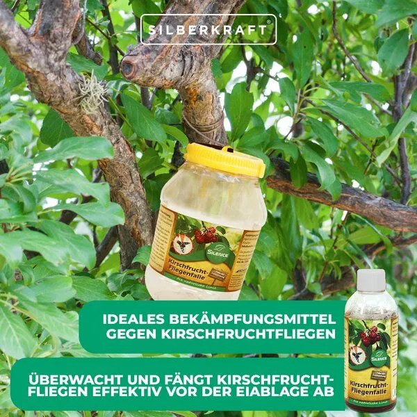 Silberkraft Silberkraft Silence Kirschfruchtfliegenfalle Nachfüllpack – Produktbild 3 von 4