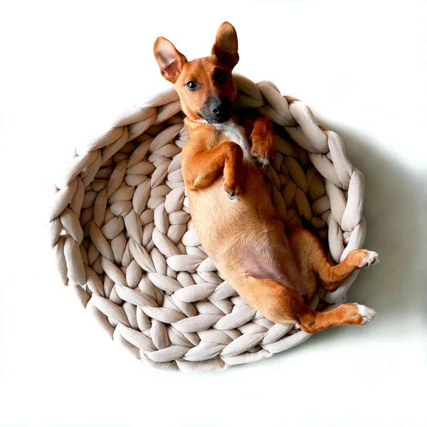 PANAPUFA PANAPUFA Hundebett aus Big Cotton – handgefertigt, Beige, – Produktbild 1 von 2