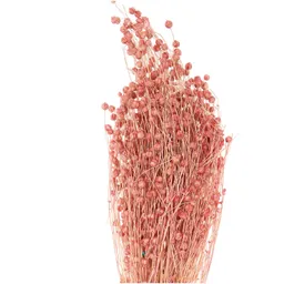 Rico Design Rico Design Getrockneter Flachs pink 60-75cm 100g – Produktbild 1 von 1
