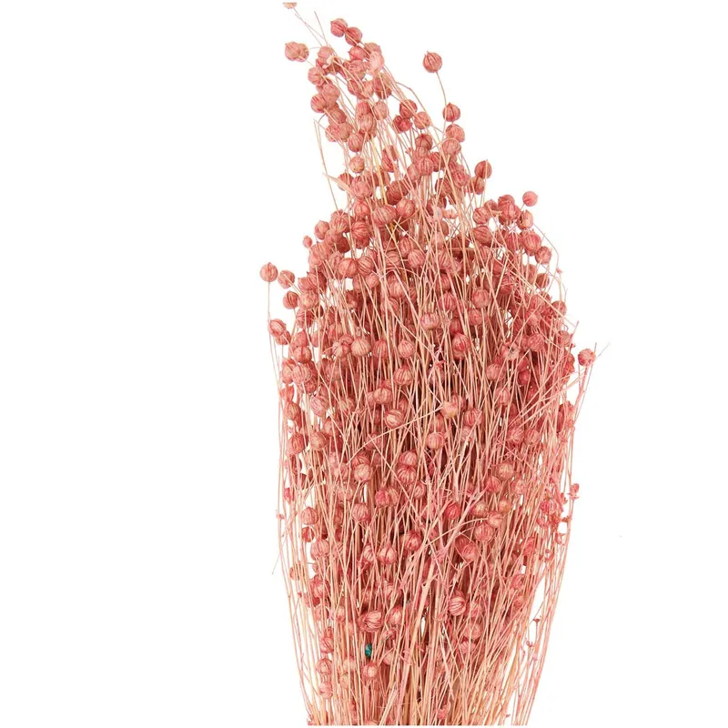 Rico Design Rico Design Getrockneter Flachs pink 60-75cm 100g, Pink, – Produktbild 1 von 1