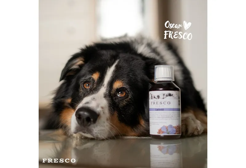 Fresco Dog Leinöl für Hunde 250ml / 500ml / 1L, Hochwertiges BARF Öl, Ergänzungsfutter für: Hunde, Kaltgepresst mit Omega 3 & 6, Leinsamenöl mit Vitamin E – Produktbild 3 von 5