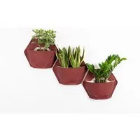 CitySens CitySens Packung mit 3 Bunten Wand-Blumentöpfen aus hochwertigen Altstoffen – Produktbild 1 von 1