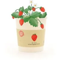 Die Stadtgärtner Die Stadtgärtner Erdbeer Anzuchtset als liebevolles Geschenk | Nachhaltige Geschenkidee für Geburtstage, Liebesbotschaften & Wertschätzung – Produktbild 1 von 1