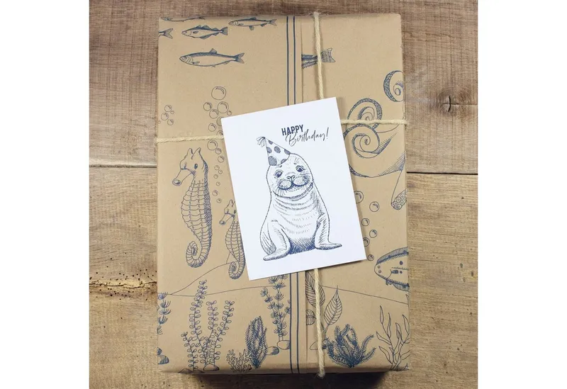 Bow & Hummingbird Bow & Hummingbird Postkarte "Happy Birthday Seehund" – Produktbild 5 von 6
