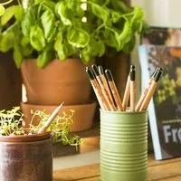 Sprout Sprout Buntstift zum Einpflanzen – Produktbild 1 von 2