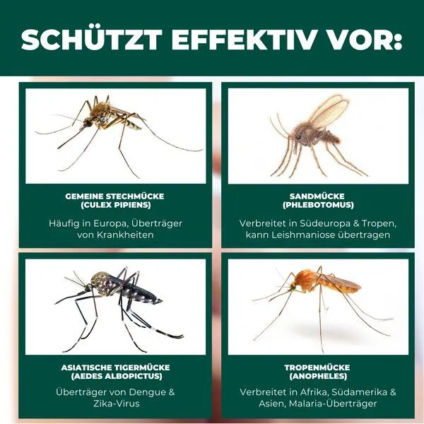Silberkraft Silberkraft Insektenschutz für Reise- und Kinderbett – Mückennetz 150×70×90 cm – Faltbar & atmungsaktiv – Für Babyreisebett & Beistellbett – Inkl. Transportbeutel – Produktbild 4 von 4