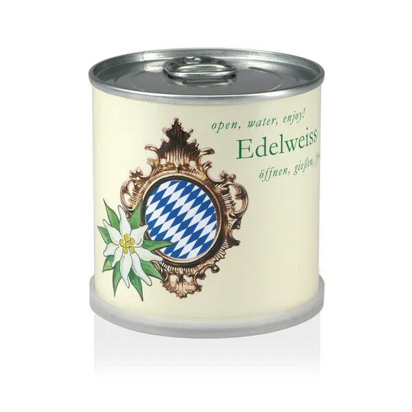 MacFlowers MacFlowers Pflanzen in der Dose - Edelweiss Bavaria – Produktbild 1 von 4