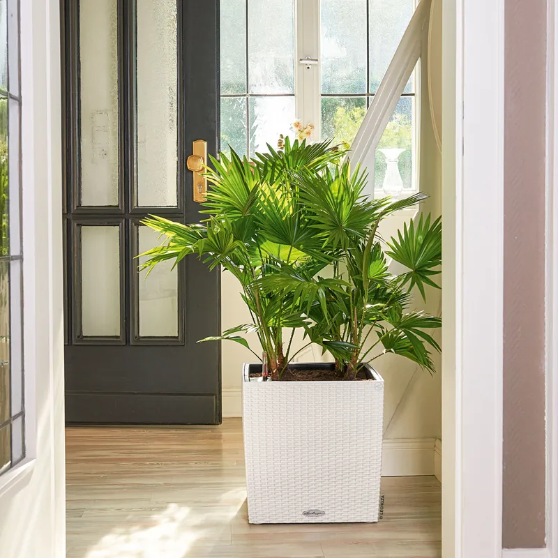 Lechuza® Lechuza® 'Cube Cottage 50', weiß, ca. 49 x 49 x H 49,5 cm, Weiß, – Produktbild 1 von 1
