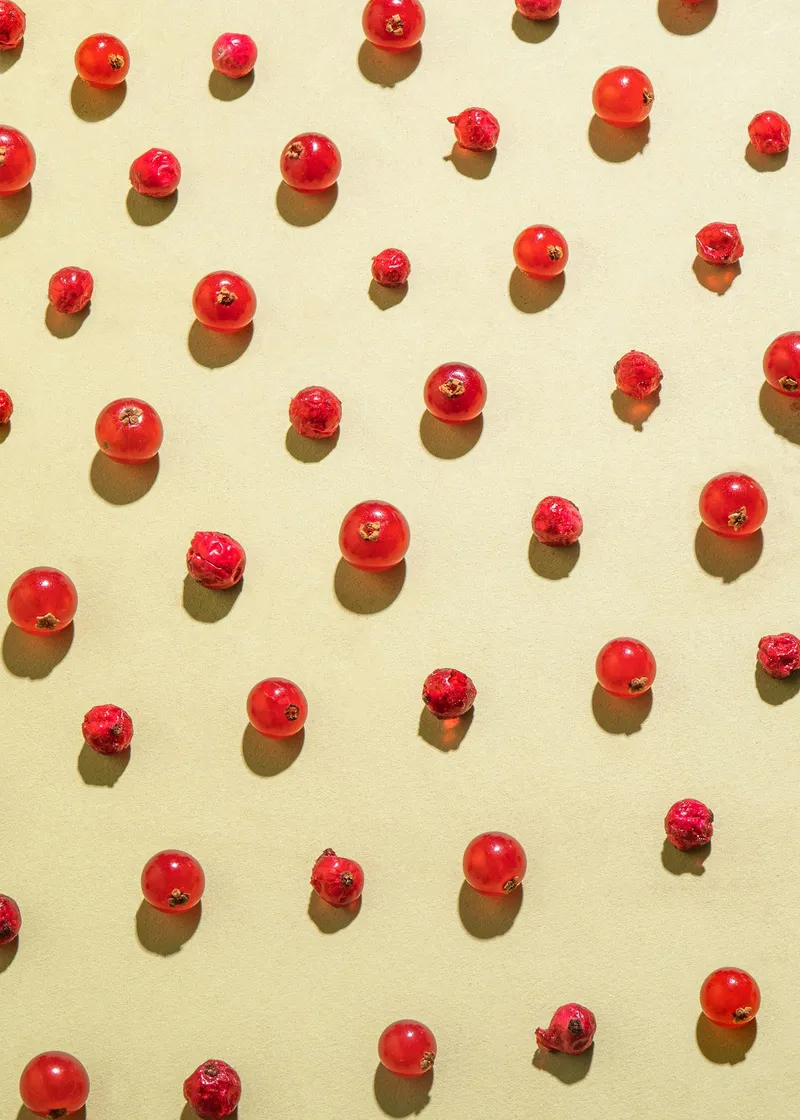 KoRo Gefriergetrocknete rote Johannisbeeren 500 g – Produktbild 4 von 5