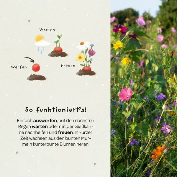Die Stadtgärtner Die Stadtgärtner 5 bunte Blumenmurmeln im Tütchen mit Wildblumensaatgut | Geschenkidee zur Einschulung, Schulanfang, für Schultüte | "Endlich Schulkind!" – Produktbild 3 von 4