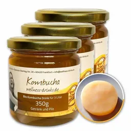 Wellness-Drinks Bio Kombucha mit Kombucha-Pilz (groß) – Produktbild 1 von 1