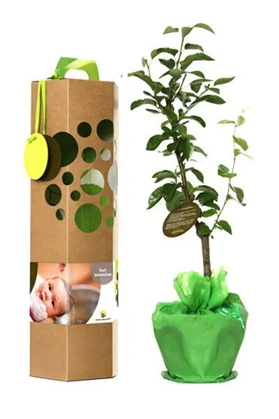 SchenkeinBäumchen SchenkeinBäumchen Taufbaum – Produktbild 2 von 4