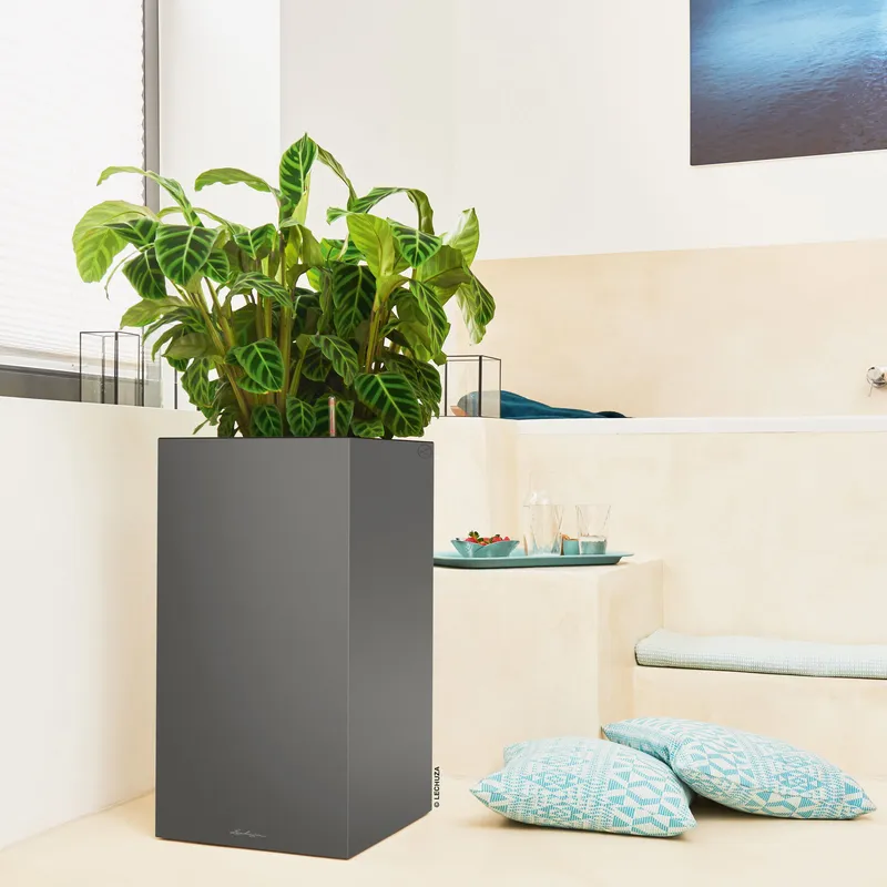 Lechuza® Lechuza® 'Canto Premium 40 high', anthrazit, ca. 40 x 40 x H 76 cm, Grau, – Produktbild 1 von 1