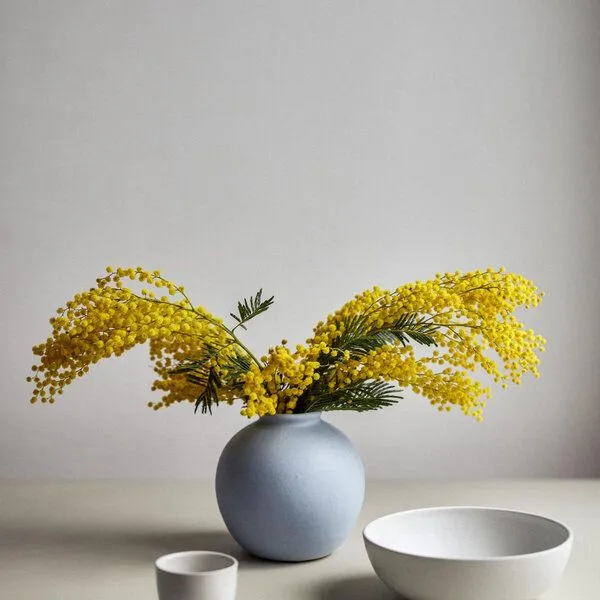 onomao onomao Bowl - Klassik, Weiß, – Produktbild 3 von 4