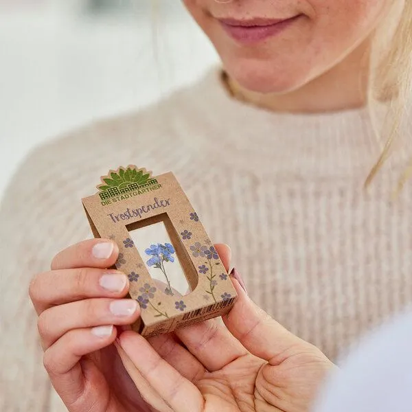 Die Stadtgärtner Die Stadtgärtner Trostspender I Vergissmeinicht im Glas als Geschenk in schweren Zeiten – Produktbild 4 von 4