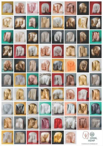 Himal Hemp 78 Vulven Vulva-Poster 594 x 841 mm von Himal Hemp und Vulvarium – Produktbild 4 von 4