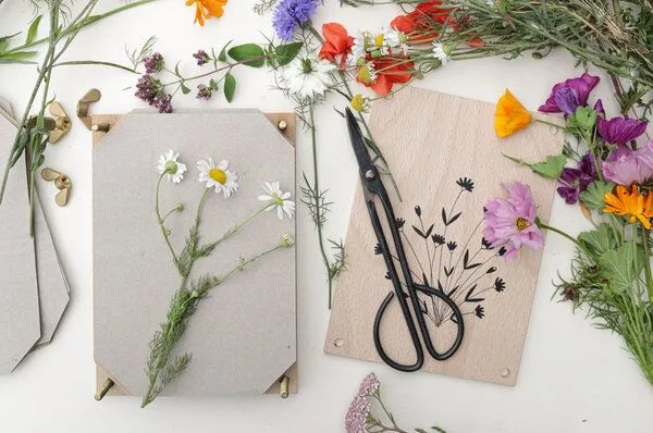 STUDIO KARAMELO STUDIO KARAMELO BLUMENPRESSE »BLÜTEN & ZWEIGE« – Produktbild 3 von 6
