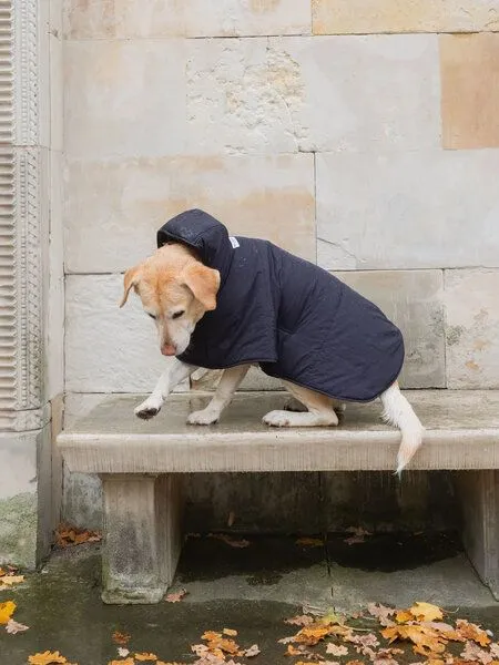 New Orchard New Orchard Dog Hoodie, Navy, – Produktbild 1 von 4