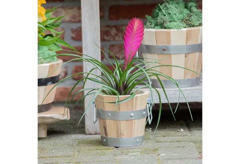 colourliving Pflanzkübel Pflanztopf rund mit Griffen, FSC Akazienholz, Blumenkästen aus Holz, integriertes Entwässerungsloch, metallverstärkte Konstruktion – Produktbild 3 von 5