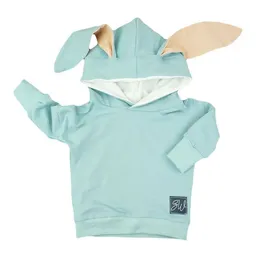 Sternchenwolke Sternchenwolke BIO Hoodie "Hasenohren" gletscher – Produktbild 1 von 1