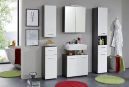 welltime Spiegelschrank Sovana Badschrank wahlweise mit oder ohne Beleuchtung - (B/T/H) 60/18/67 cm – Produktbild 1 von 1
