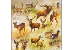 Ambiente Luxury Paper Products Papierserviette, Servietten Papier 33x33cm 3-lag. mit Waldtiere Motiv 20 Stück – Produktbild 1 von 1
