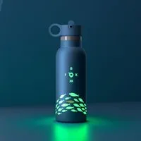 FOXBOXX FOXBOXX LUMA Leuchtflasche 500 ml – Schwimm deinen eigenen Weg – Produktbild 1 von 1