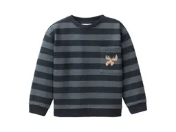 People Wear Organic People Wear Organic Sweat-Pullover Blockstreifen dunkelblau 134/140 – Produktbild 1 von 1