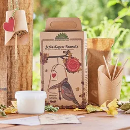 Die Stadtgärtner Die Stadtgärtner Futterglocken selber machen I DIY für drei Meisenknödel – Produktbild 1 von 1