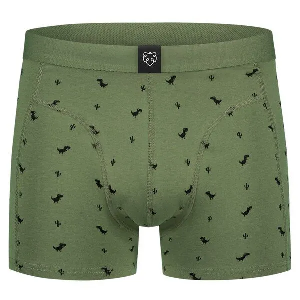 A-Dam A-Dam Boxerbrief Gemustert, 8-bit dino (dunkelgrün), – Produktbild 1 von 2
