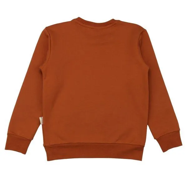 Walkiddy Kinder Sweatshirt GOTS-zertifiziert aus Bio-Baumwolle, braun mit Tiermotiv, langarm – Walkiddy, weich & hautfreundlich für Alltag und Kindergarten, Braun, – Produktbild 3 von 3