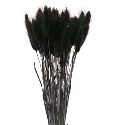 Rico Design Rico Design Getrockneter Lagurus schwarz ca. 40cm 50 Stück – Produktbild 1 von 1
